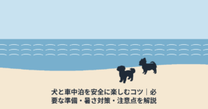 犬と車中泊を安全に楽しむコツ｜必要な準備・暑さ対策・注意点を解説