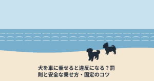 犬を車に乗せると違反になる？罰則と安全な乗せ方・固定のコツ