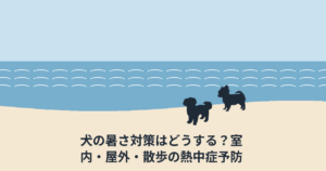 犬の暑さ対策はどうする？室内・屋外・散歩の熱中症予防