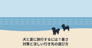 犬と夏に旅行するには？暑さ対策と涼しい行き先の選び方