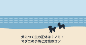 犬につく虫の正体は？ノミ・マダニの予防と対策のコツ