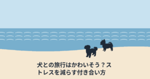 犬との旅行はかわいそう？ストレスを減らす付き合い方