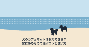 犬のカフェマットは代用できる？家にあるもので選ぶコツと使い方