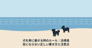 犬を車に乗せる時のルール｜法律違反にならない正しい乗せ方と注意点
