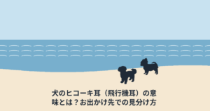 犬のヒコーキ耳（飛行機耳）の意味とは？お出かけ先での見分け方