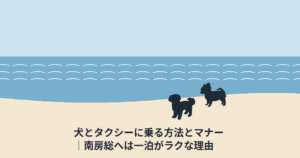 犬とタクシーに乗る方法とマナー｜南房総へは一泊がラクな理由