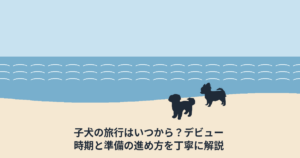 子犬の旅行はいつから？デビュー時期と準備の進め方を丁寧に解説