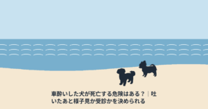 車酔いした犬が死亡する危険はある？｜吐いたあと様子見か受診かを決められる