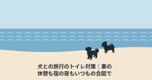 犬との旅行のトイレ対策｜車の休憩も宿の夜もいつもの合図で
