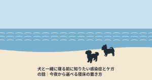 犬と一緒に寝る前に知りたい感染症とケガの話｜今夜から選べる寝床の置き方