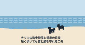 チワワの散歩時間と頻度の目安｜短く歩いても首と膝を守れる工夫