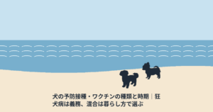 犬の予防接種・ワクチンの種類と時期｜狂犬病は義務、混合は暮らし方で選ぶ