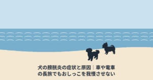 犬の膀胱炎の症状と原因｜車や電車の長旅でもおしっこを我慢させない