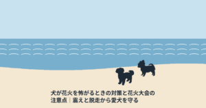 犬が花火を怖がるときの対策と花火大会の注意点｜震えと脱走から愛犬を守る